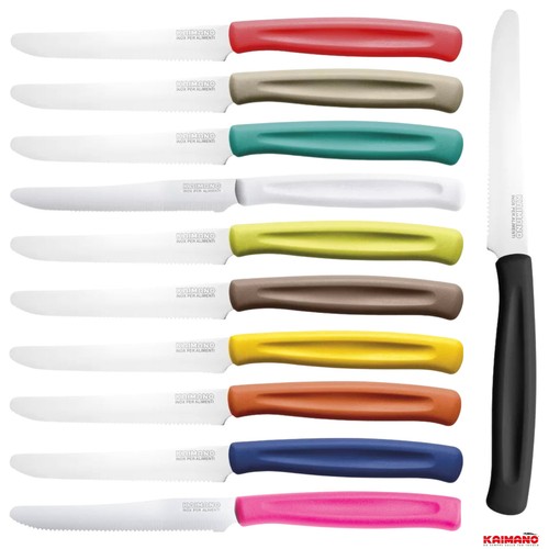Set coltelli da tavola - 12,